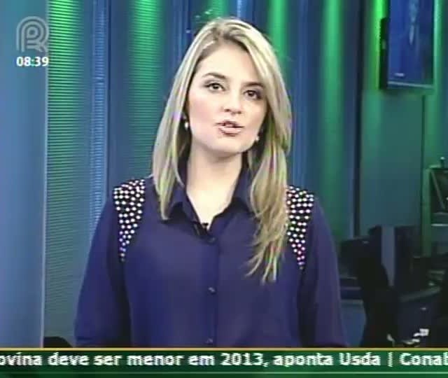 Brasil não tem como crescer mais do que 2% em 2013, afirma Daoud