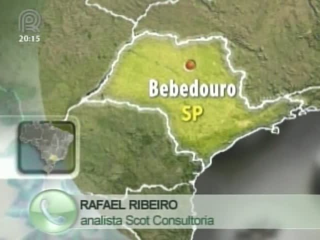 Analista da Scot Consultoria fala sobre a previsão da safra de soja