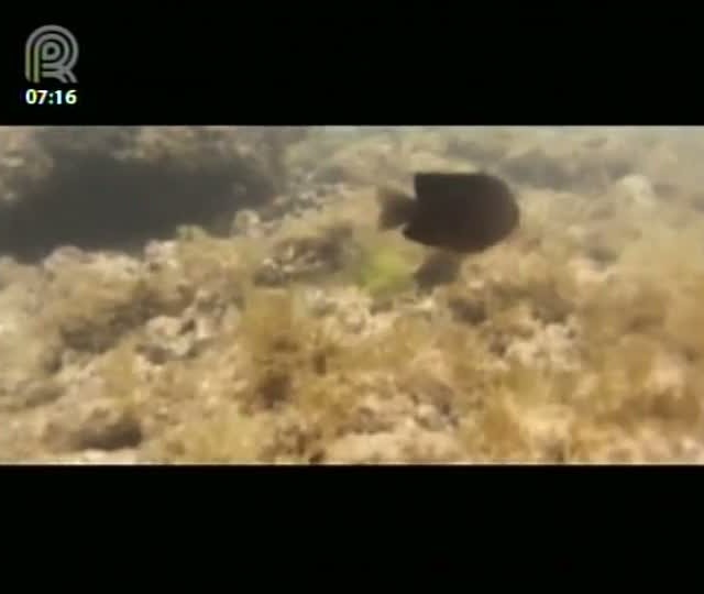 Filma Brasil: Se o Mar Virasse Sabão