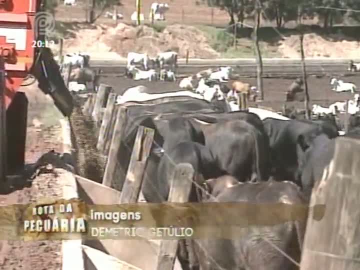 Segundo Dia de Campo da expedição Rota da Pecuária mostra práticas modernas e eficientes