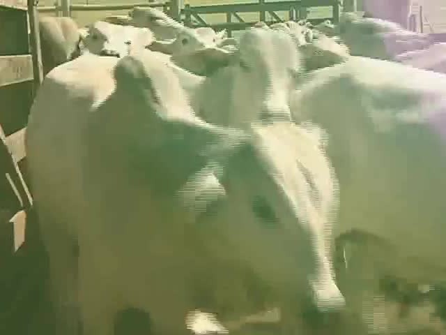 Conheça o Agrocurso