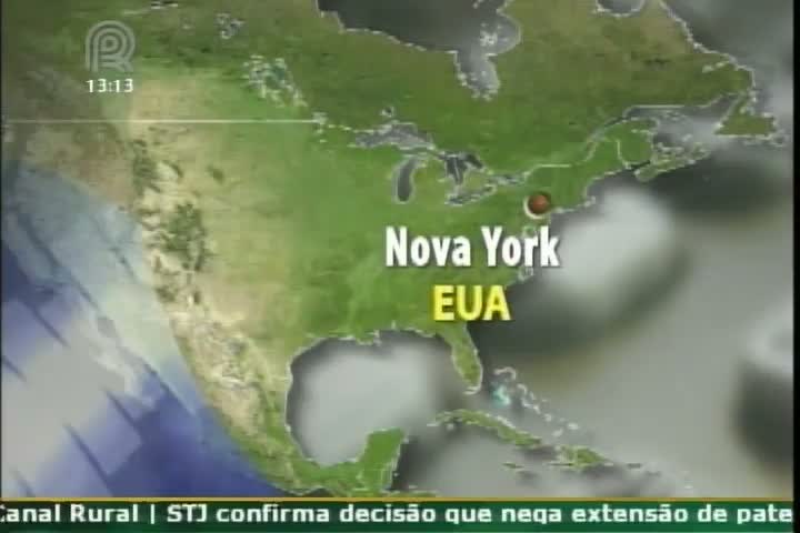 Daniel Davilla, analista de mercado, fala sobre a procura de soja, direto de Nova York