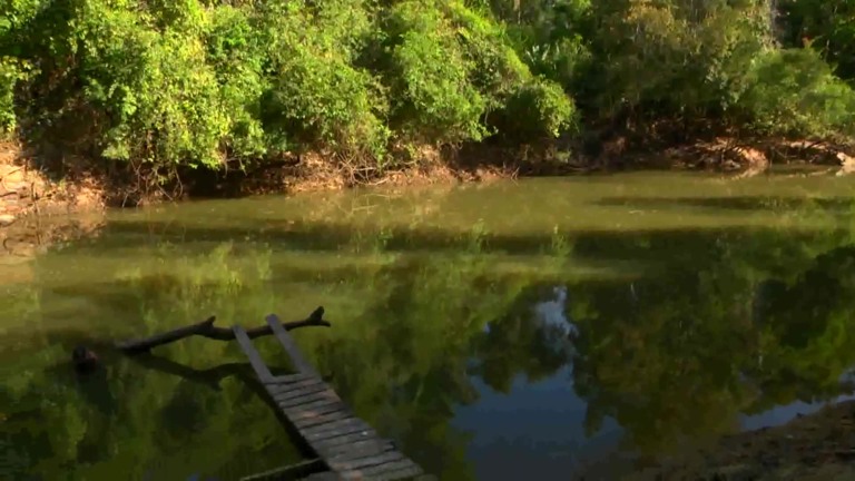 Parceiros do Campo – Redenção – PA