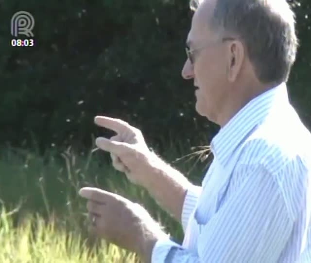 Veja no Painel Florestal TV como e porque usar o pré-emergente no plantio de uma floresta de eucalipto