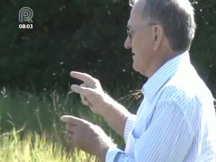 Veja no Painel Florestal TV como e porque usar o pré-emergente no plantio de uma floresta de eucalipto