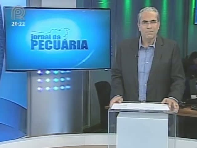 Presidente da Associação Brasileira dos Criadores de Sindi fala sobre a raça