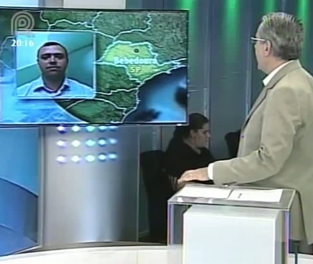 Analista da Scot Consultoria fala sobre produção de bezerros e mercado de boi gordo