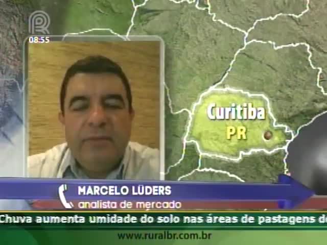 Analista de mercado fala das perspectivas para o mercado de feijão