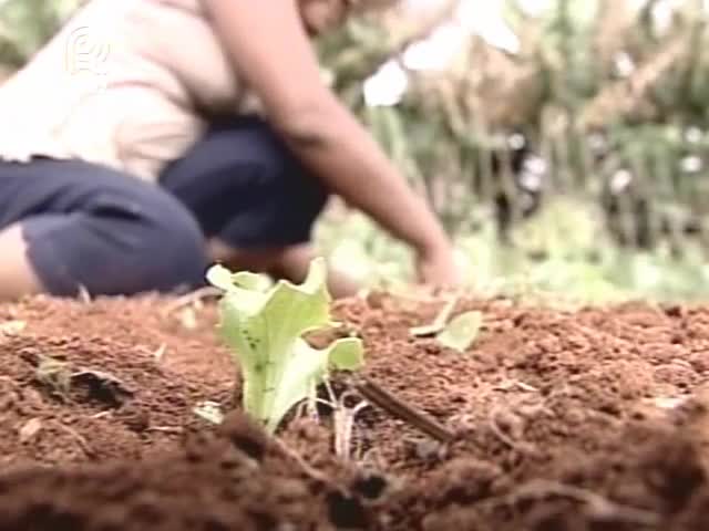 Workshop em Brasília (DF) discute a falta de mão de obra qualificada no campo