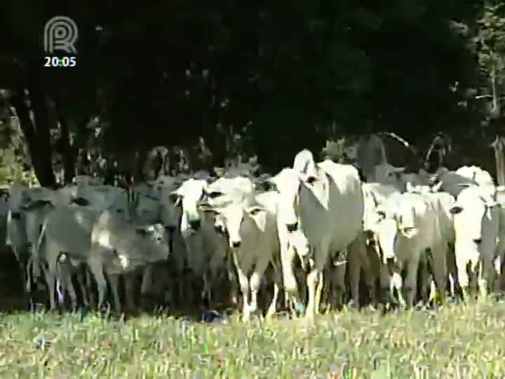 Primeira etapa do Circuito Feicorte 2013 traz temas como produção e comercialização de carne