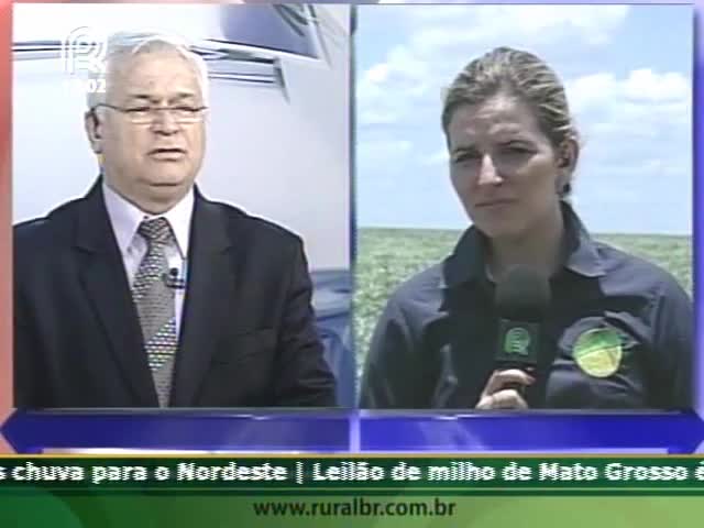 Soja Brasil: Chapadão do Céu (GO) tem o melhor índice de desenvolvimento rural de 2013