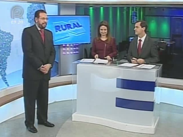 Miguel Daoud fala sobre a forte queda da Bovespa