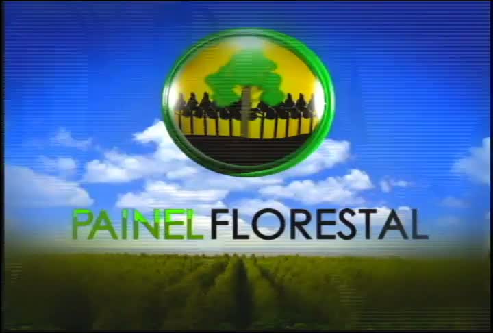 Painel Florestal: conheça uma floresta plantada que alia tecnologia, desenvolvimento e produção de mudas