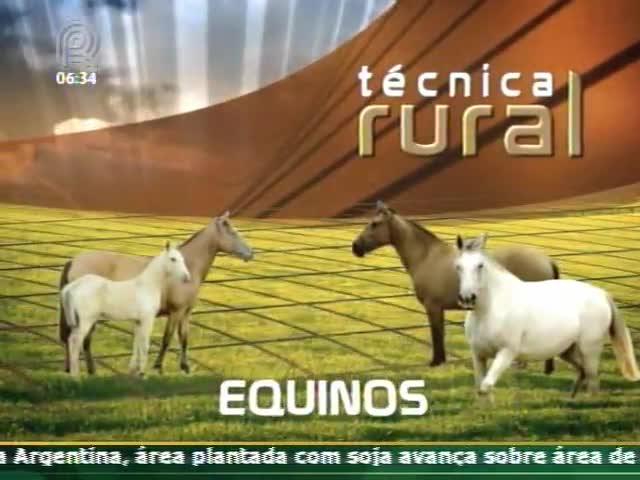 Técnica Rural mostra os cuidados necessários com os cavalos atletas