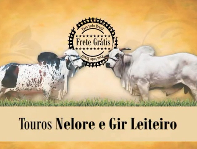Liquidação de Sêmen Fazenda Santa Mônica