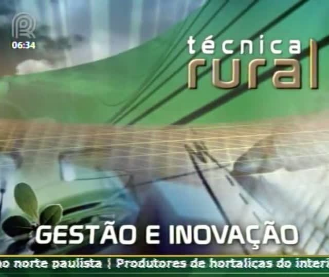 Veja como é a produção de banana irrigada no Vale do São Francisco