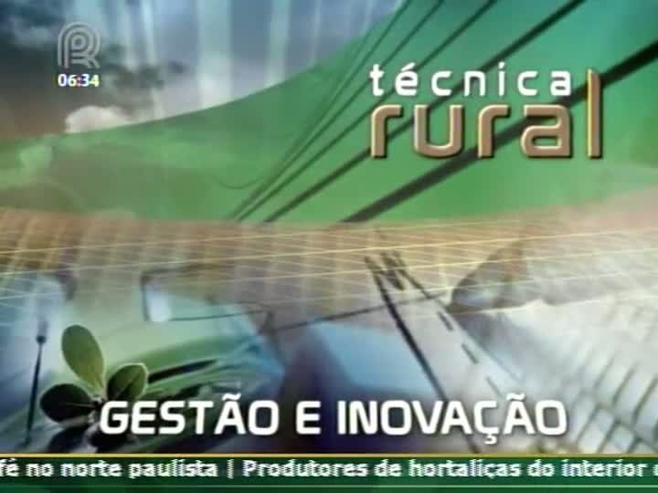 Veja como é a produção de banana irrigada no Vale do São Francisco