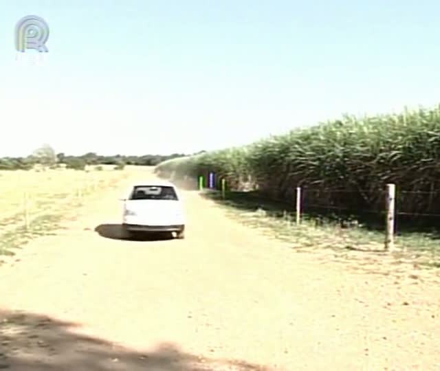 Técnicos da Embrapa desenvolvem pesquisas no continente africano