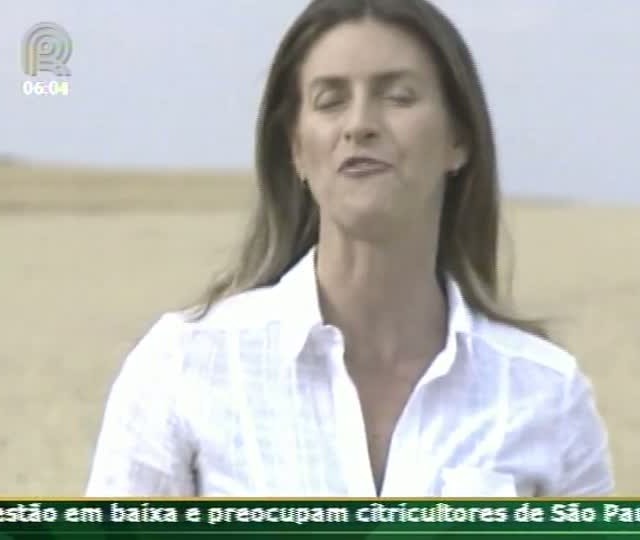 Técnica Rural - Rotação de culturas contribui para a maior produtividade das lavouras de soja