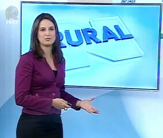 Confira a previsão do tempo para Goiás