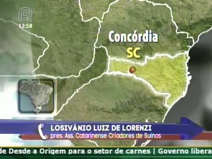 Presidente da Associação Catarinense de Criadores de Suínos de Concórdia (SC) fala sobre a queda do preço suíno