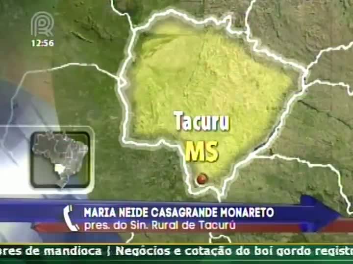 Presidente do Sindicato Rural de Tacurú (MS) fala sobre divisão de terras indígenas na região