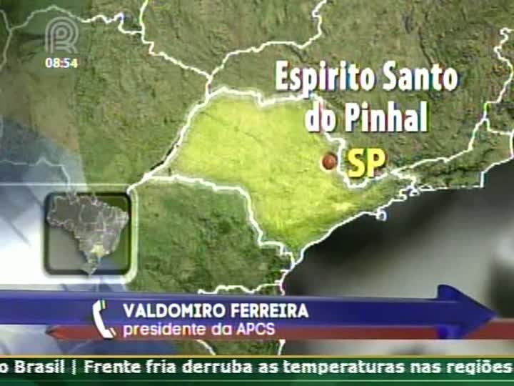 Alta nas exportação e consumo interno devem sustentar preços, diz Valdomiro Ferreira sobre o mercado de suínos