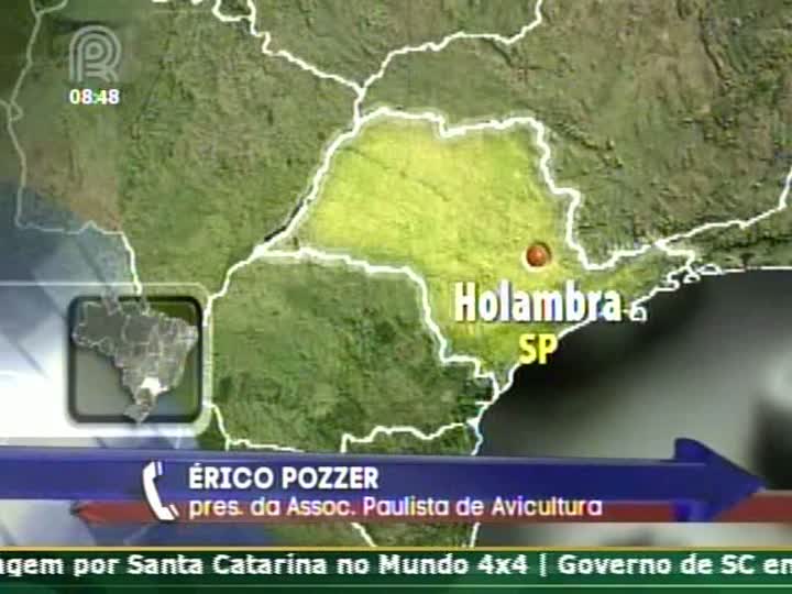 Cotação do frango vivo atinge menor valor em quatro meses em SP, afirma o presidente da Associação Paulista de Avicultura