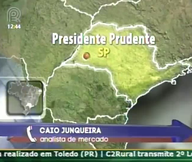 Pecuaristas avaliam perdas de pastagem após geadas