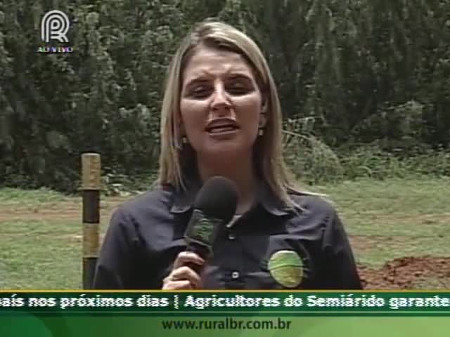 Alto Garças (MT) sofre com a questão do transporte da soja