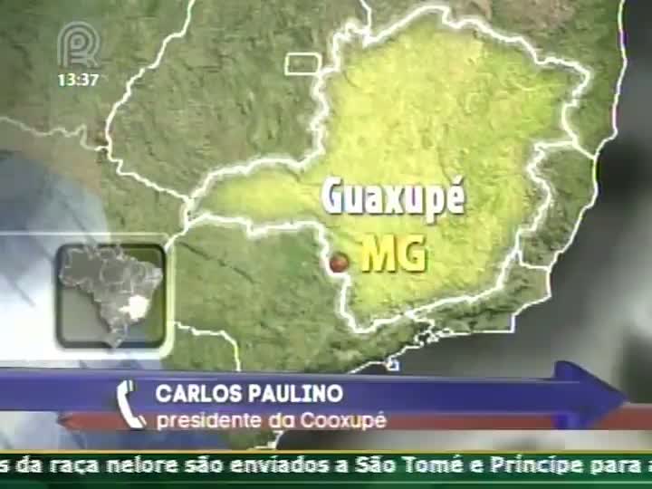 Cooxupé: Definição sobre opções é principal problema na discussão entre cafeicultores e governo