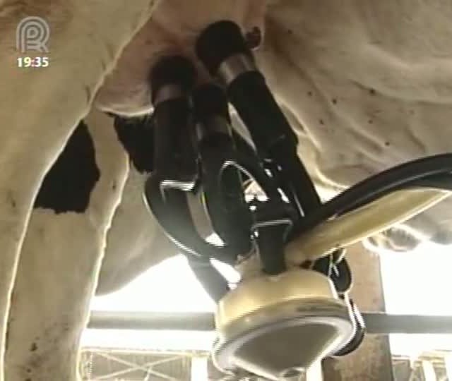Produção leiteira cresce 3% em 2012 e preço pago ao produtor é o maior em cinco anos