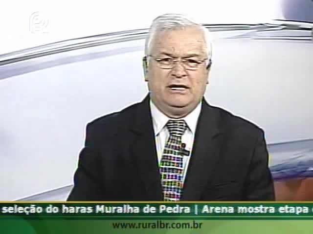 Presidente da Cooperativa de Cafeicultores de Três Pontas (MG) fala sobre o mercado de café