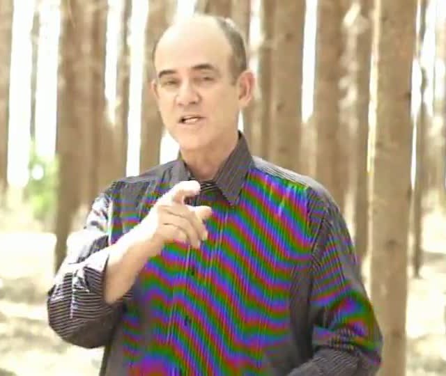 Painel Florestal TV mostra como funciona o monitoramento de um viveiro de mudas de eucalipto