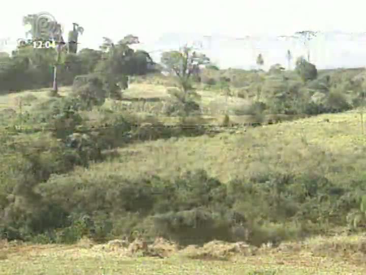 Grandes Fazendas visita Agropecuária Romanelli em Londrina (PR), vencedora de vários prêmios ABQM