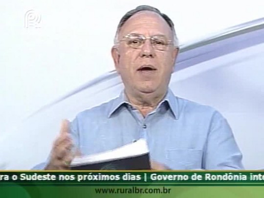 Consultor GSI fala sobre a colheita da soja