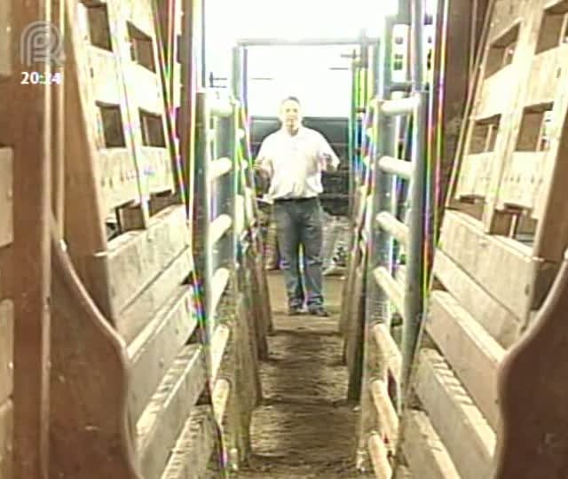 Agrocurso: Zootecnista fala sobre manejo racional aplicado a bovinos