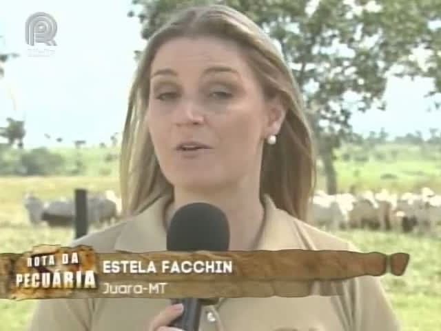 Projeto Rota da Pecuária passa pela região do Vale do Arinos (MT)