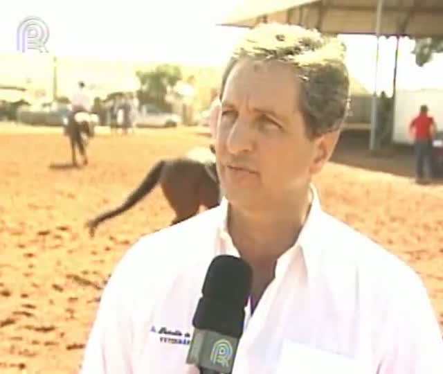 Qualidade genética do quarto de milha brasileiro se destaca em competições