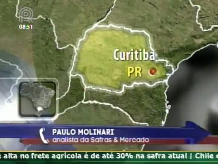 Milho: Mercado Futuro aponta tendência de preços mais baixos