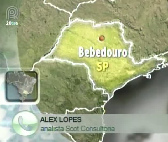 Analista da Scot Consultoria fala sobre o mercado de boi gordo