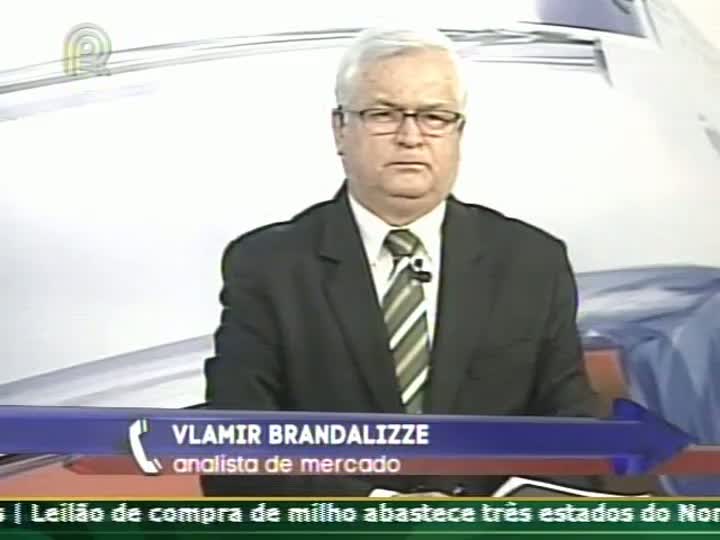 Analista de mercado fala sobre os preços dos grãos