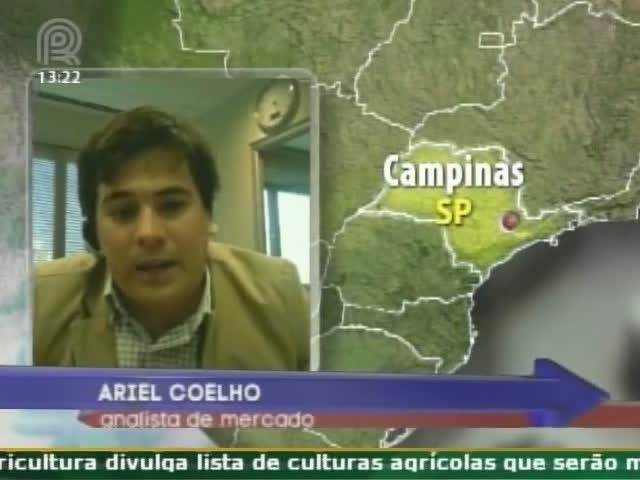 Relatório indica queda na produção de algodão nos EUA, aponta analista
