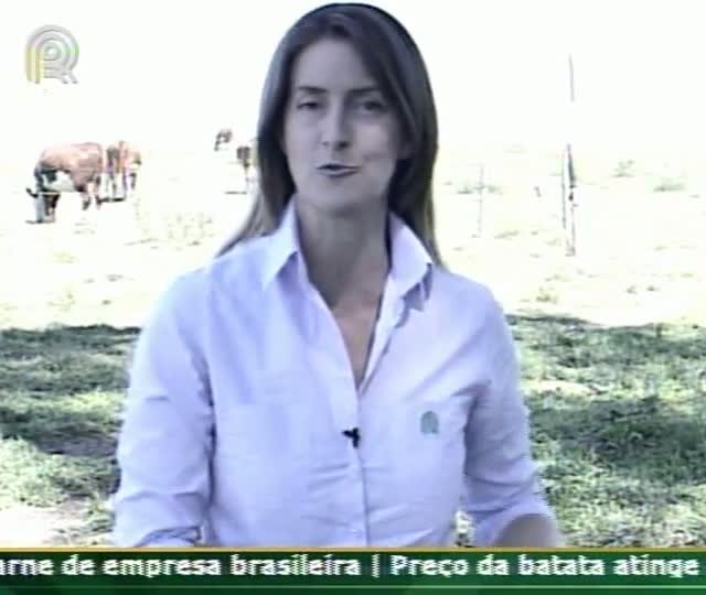 Técnica Rural - Melhoramento do campo nativo permite melhorar os ganhos da pecuária