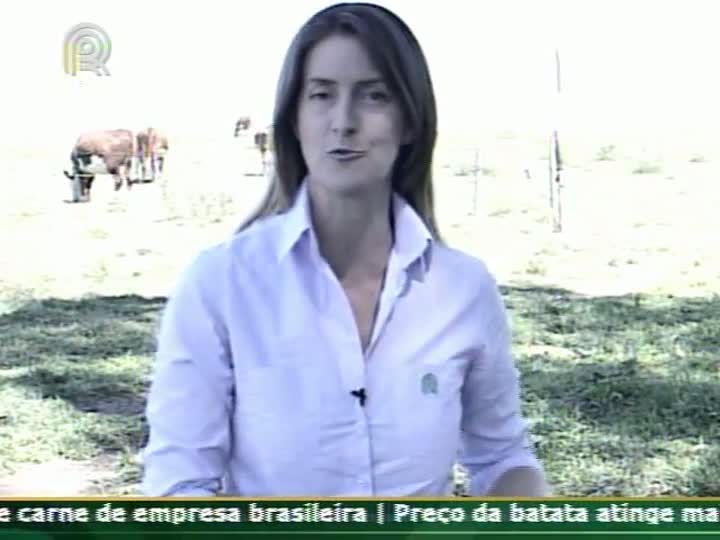 Técnica Rural - Melhoramento do campo nativo permite melhorar os ganhos da pecuária