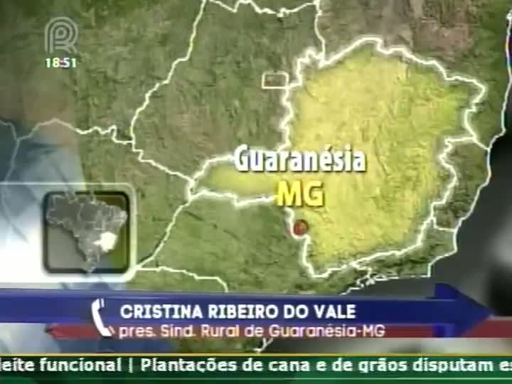 Presidente do Sindicato Rural de Guaranésia (MG) fala sobre o preço do café