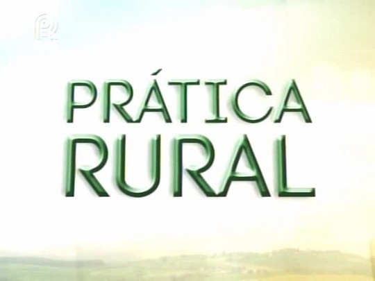 Prática Rural: milho RR voluntário causa prejuízos em lavouras de soja