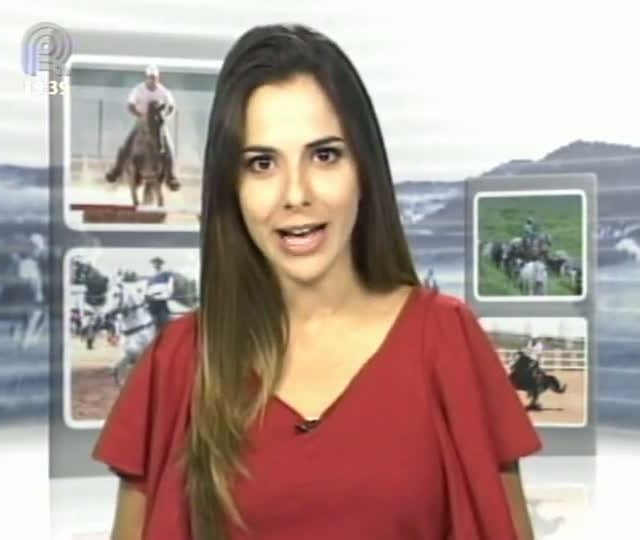 Mangalarga Marchador TV conta a história da matriarca da tradicional linhagem Favacho (Parte 2)