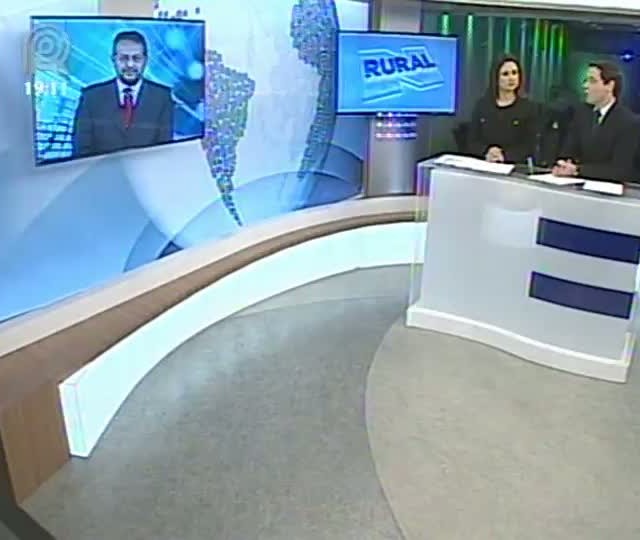 Miguel Daoud comenta a estimativa para safra 2013/2014 de cana-de-açúcar