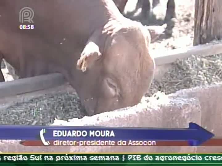 Recuperação de preços da arroba bovina ainda não foi suficiente para estimular o confinador